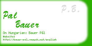 pal bauer business card